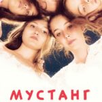Мустанг Постер Лучшие Фильмы Турции