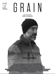 Зерно 2017 Смотреть Онлайн лучшие фильмы турции